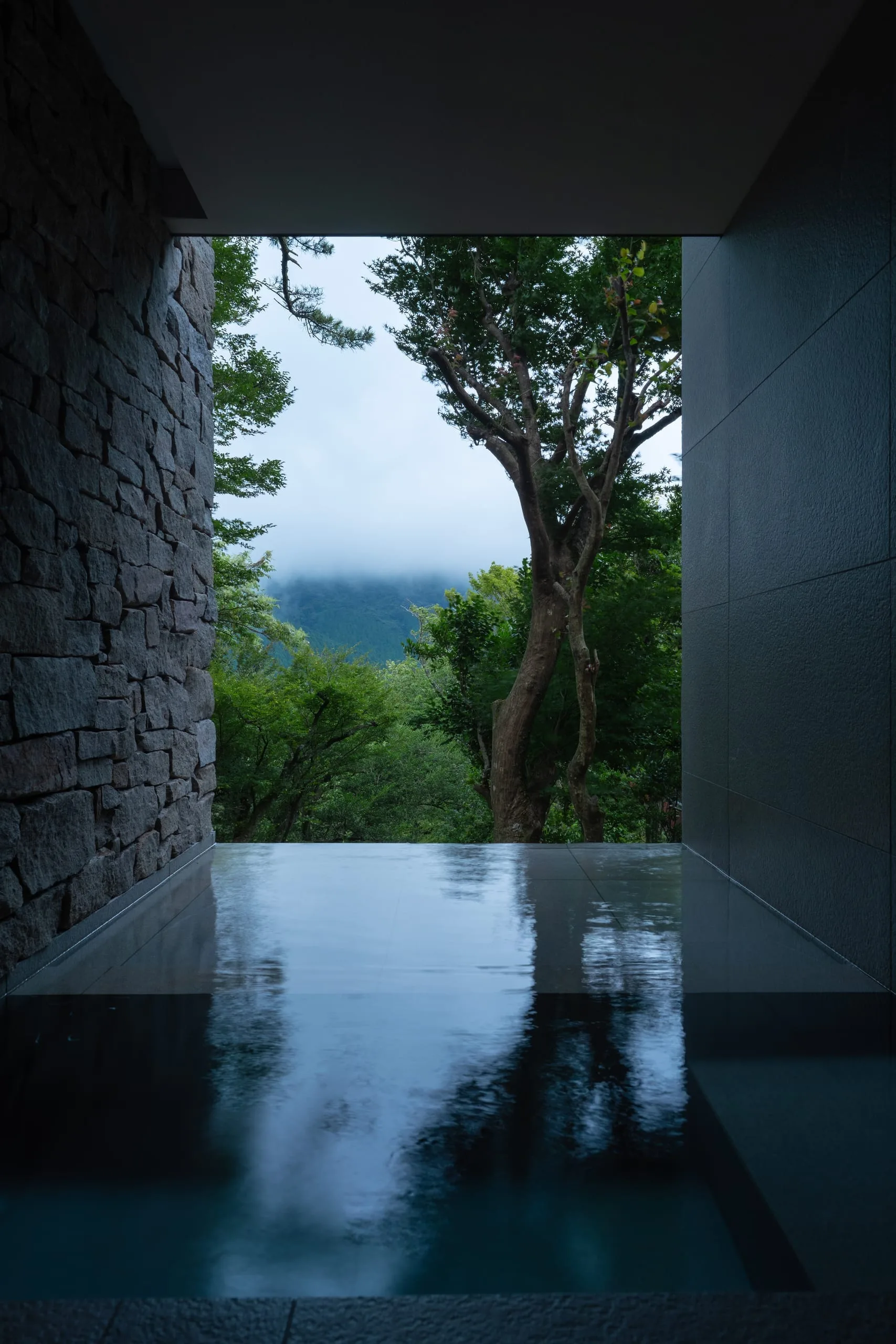 Hotel Hakone