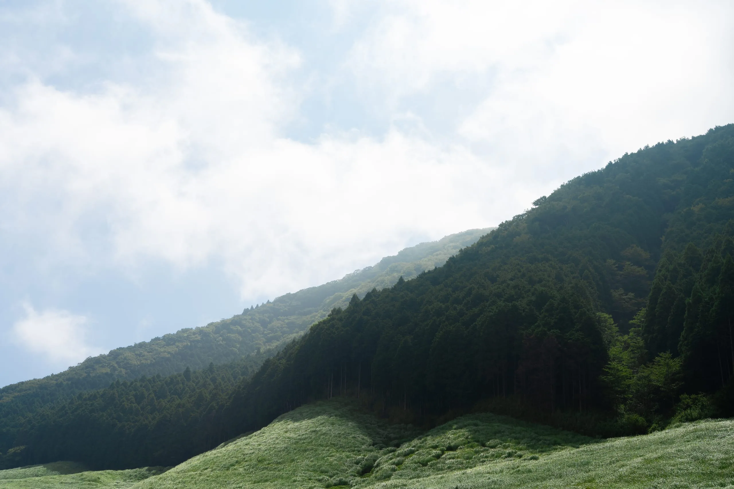 Hotel Hakone