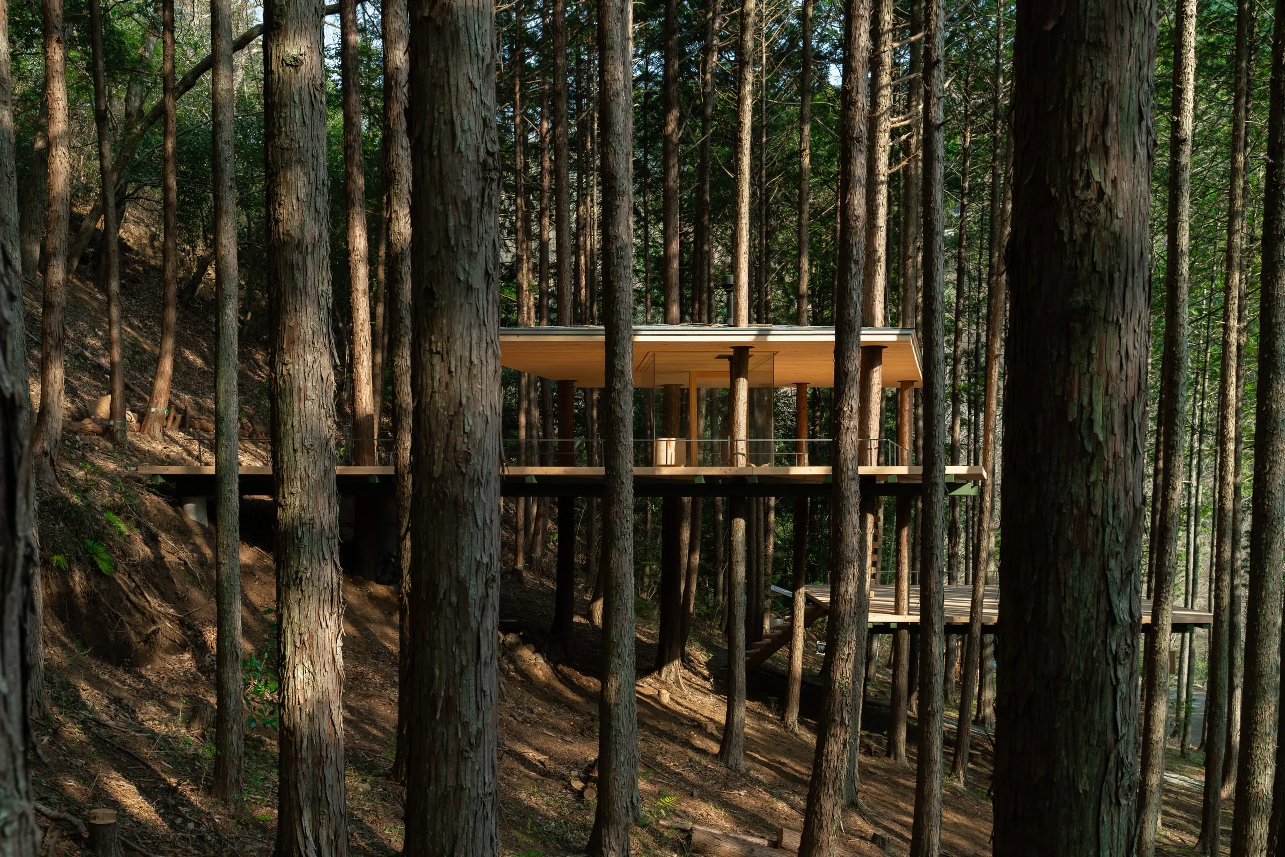 TREE SAUNA
